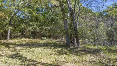 17965 Windsong Ln, Flint, TX 75762