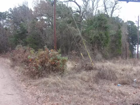 000 Briar Vly, Murchison, TX 75778