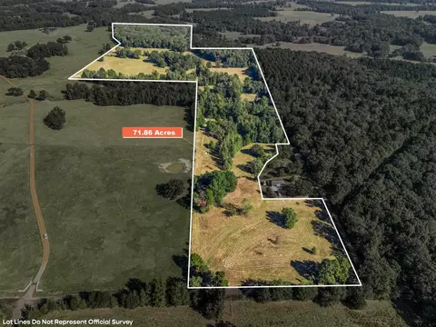 tbd Giraffe Rd, Gilmer, TX 75644