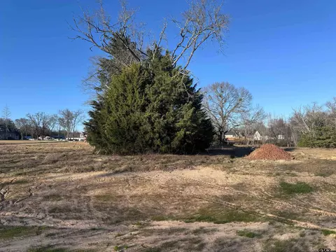 14001 Cedar Hill Ln, Tyler, TX 75704