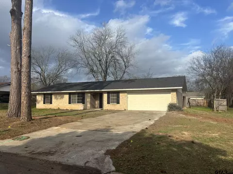 206 Park Ln, Pittsburg, TX 75686