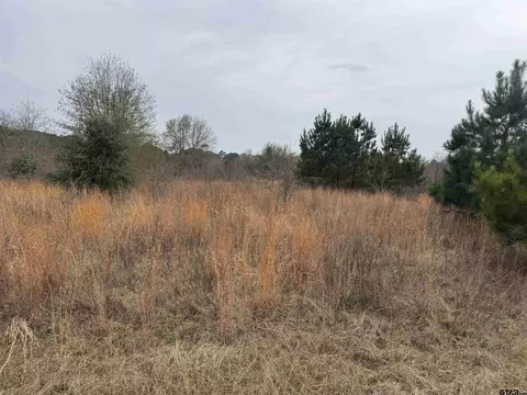 1335 San Saba, Bullard, TX 75757