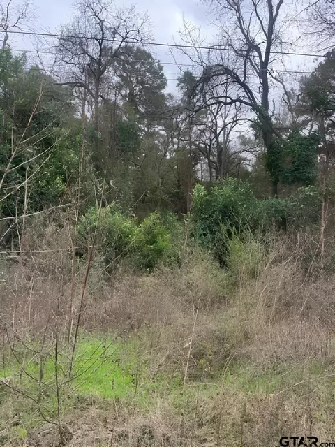22781 Dogwood Trl, Flint, TX 75762