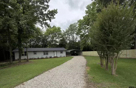 585 Sh 149, Tatum, TX 75691