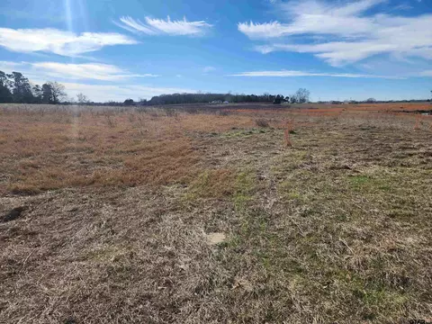 388 Cr 3211, Pittsburg, TX 75686