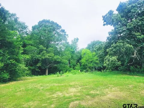 22473 Fm 2208, Harleton, TX 75651