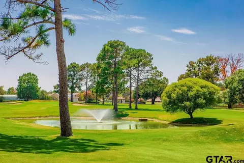 Other - 241 Hideaway Ln E, Hideaway, TX 75771 photo 11 of 12