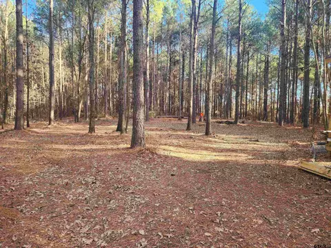 tbd Cr 4313 #LOT 6, Pittsburg, TX 75686