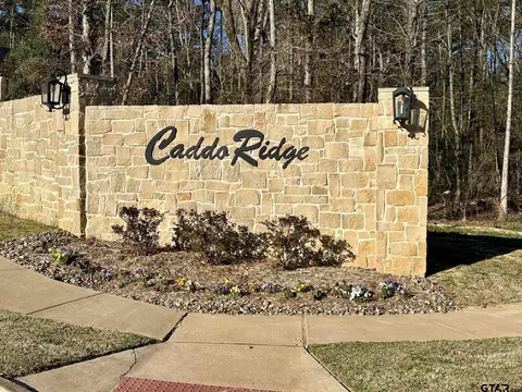 9291 Caddo Ridge Cv, Tyler, TX 75701