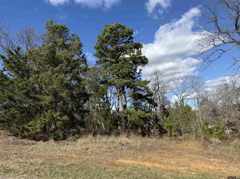 15899 Crazyhorse Dr, Lindale, TX 75771
