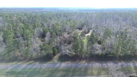 1502 Fm 1309, Lovelady, TX 75851