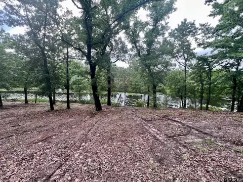 7721 County Road 4801, Athens, TX 75752