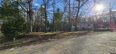 Other - 240 Elm Dr, Murchison, TX 75778 photo 4 of 14