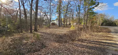 Other - 240 Elm Dr, Murchison, TX 75778 photo 6 of 14