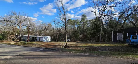 Other - 240 Elm Dr, Murchison, TX 75778 photo 3 of 14