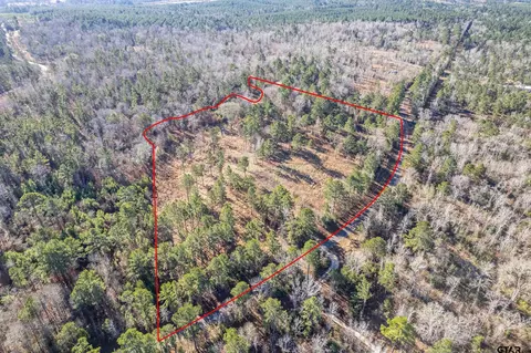 tbd County Road 1231, Palestine, TX 75801