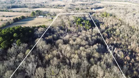 1628 Cr 3375, Cookville, TX 75558