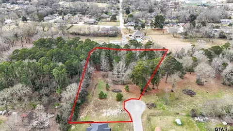 tbd Castleberry Rd, Brownsboro, TX 75756