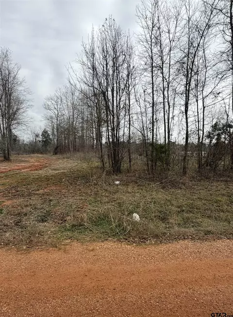 Sunny Meadows Blvd, Tyler, TX 75708