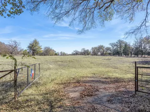 30 Acres Vz County Road 2145, Canton, TX 75103