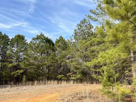 6 Venus Road, Gladewater, TX 75647 photo 3
