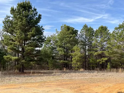 6 Venus Road, Gladewater, TX 75647 photo 5