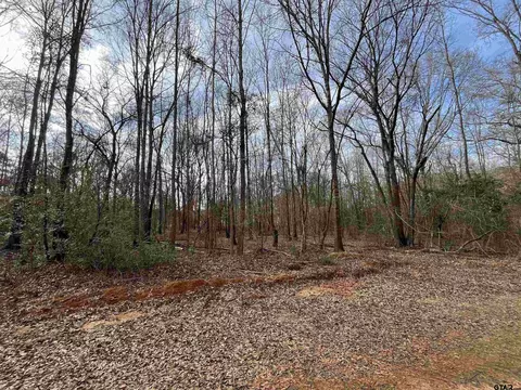 6 Venus Road, Gladewater, TX 75647 photo 4