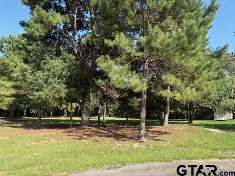 204 Pack Saddle Rdg, Holly Lake Ranch, TX 75765