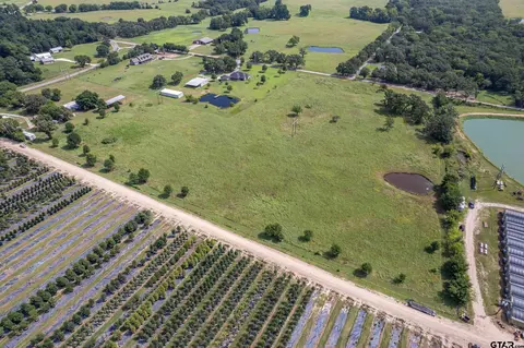 tbd Vz County Road 1516, Van, TX 75790