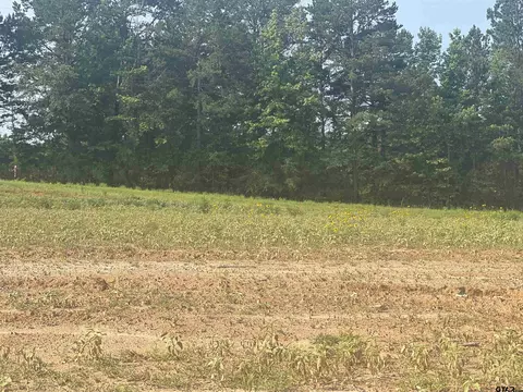 lot15 Sweet Pea, Hallsville, TX 75650