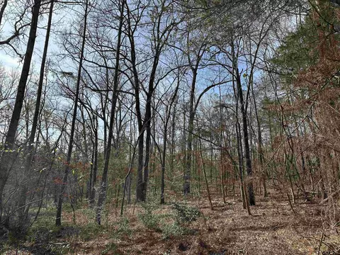 tbd Cr 2439, Alto, TX 75925