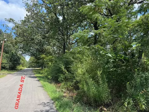 0 Hidalgo Loop, Mabank, TX 75156 photo 2