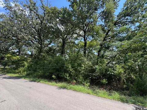 0 Hidalgo Loop, Mabank, TX 75156 photo 4