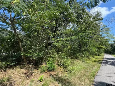 0 Hidalgo Loop, Mabank, TX 75156 photo 3