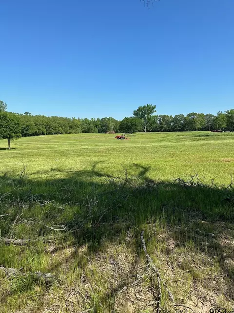 tbd Cr 4830, Winnsboro, TX 75494