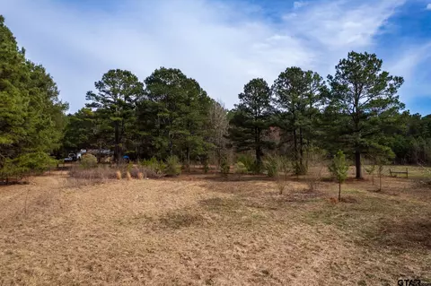 S Live Oak Rd, Gilmer, TX 75644