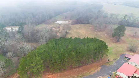 900 Primrose Rd, Gilmer, TX 75644