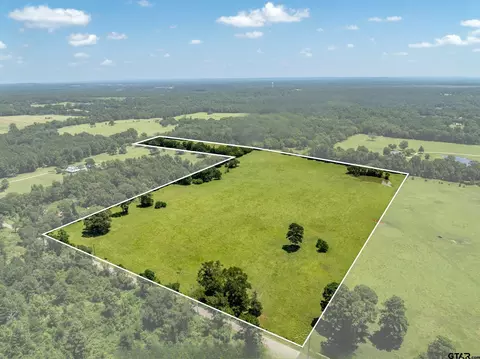 592 Acr 379, Palestine, TX 75801