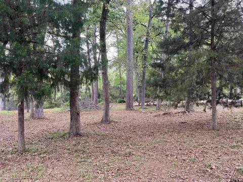 lot5 Lakeview Dr, Bullard, TX 75757