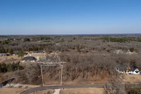 tbd Pr 6305 Lot Of 48, Mineola, TX 75773