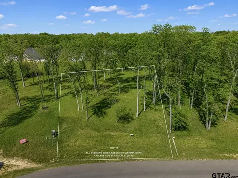 tbd Pr 6305 Lot Of 48, Mineola, TX 75773