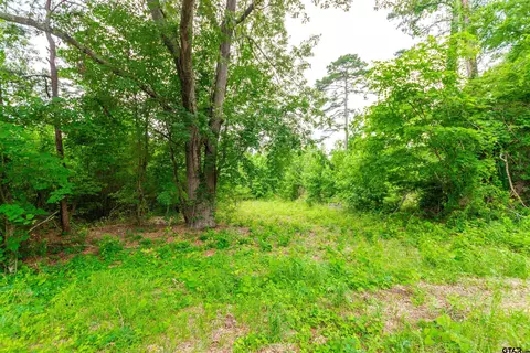 tbd Vz Cr 4810, Ben Wheeler, TX 75754