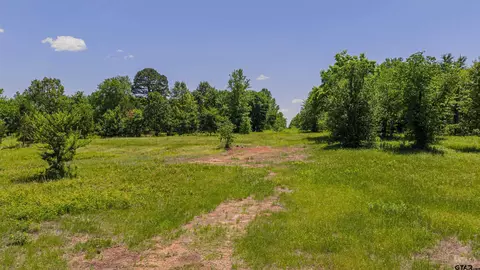 tbd Cr 1450, Mount Pleasant, TX 75455