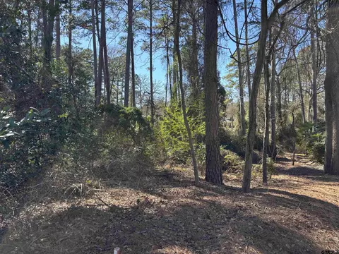lot17 Greenwood Trl, Bullard, TX 75757