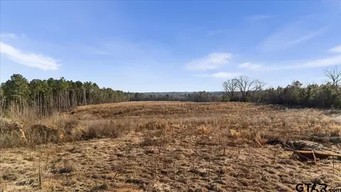 12348 Farm To Market 2767, Tyler, TX 75708 photo 27