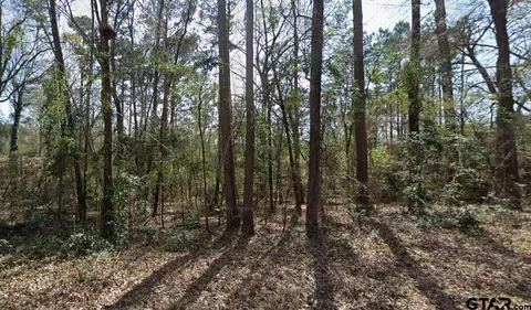 tbd Ashwood Dr Apt #LOT 204, Gilmer, TX 75645