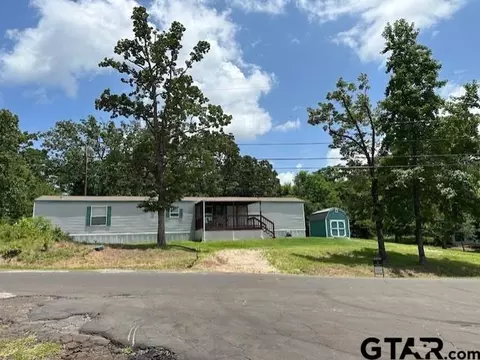 17323 Lakeview Dr, Flint, TX 75762