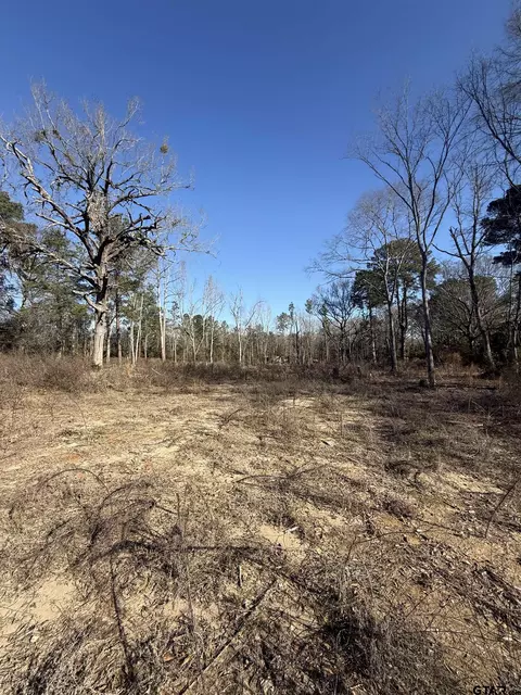 513 E State Highway 323, Overton, TX 75684