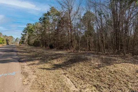 16682 County Road 367, Winona, TX 75792