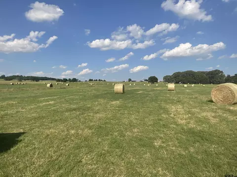 265 Fm 2137, Bullard, TX 75757